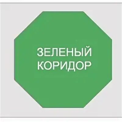 Зеленый коридор телефон