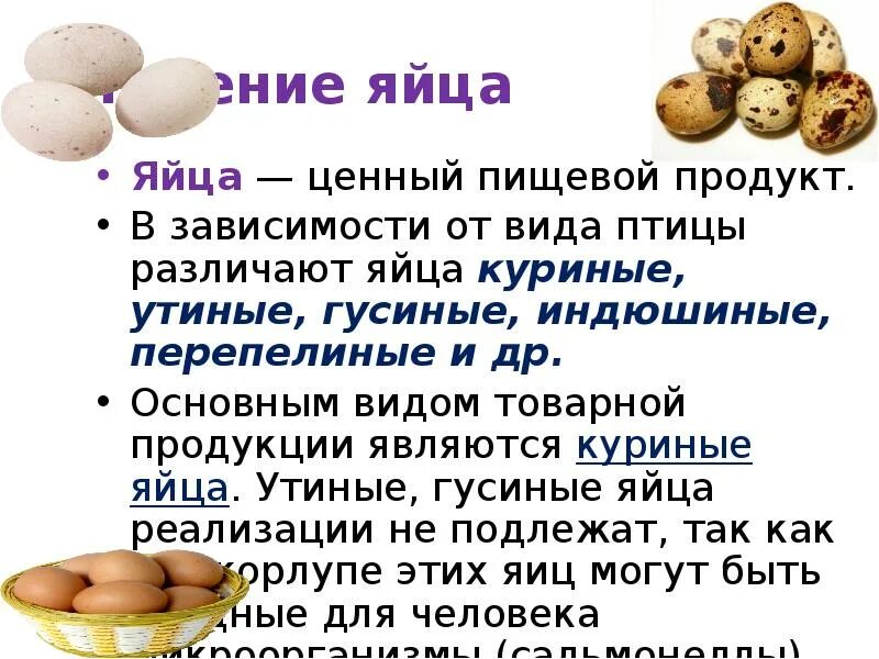 Сколько можно съесть вареных яиц