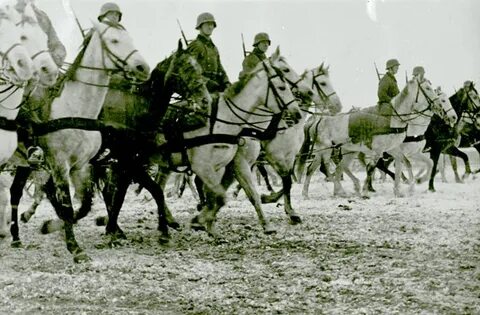 Шаркающей кавалерийской