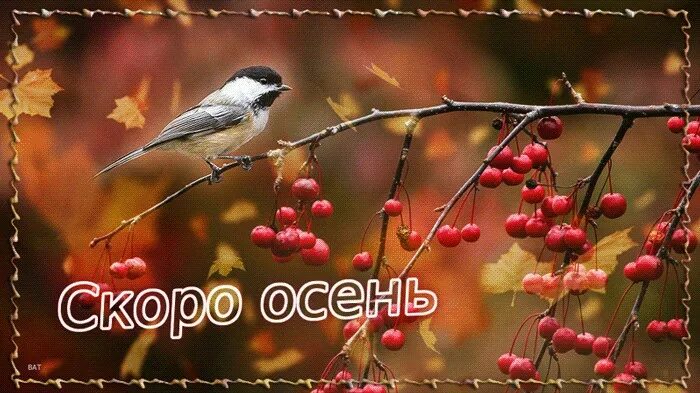 Скоро буду осень. Скоро буду осень. Скоро осеньза онгоми август. Вот и закончилось лето. Скоро осень.