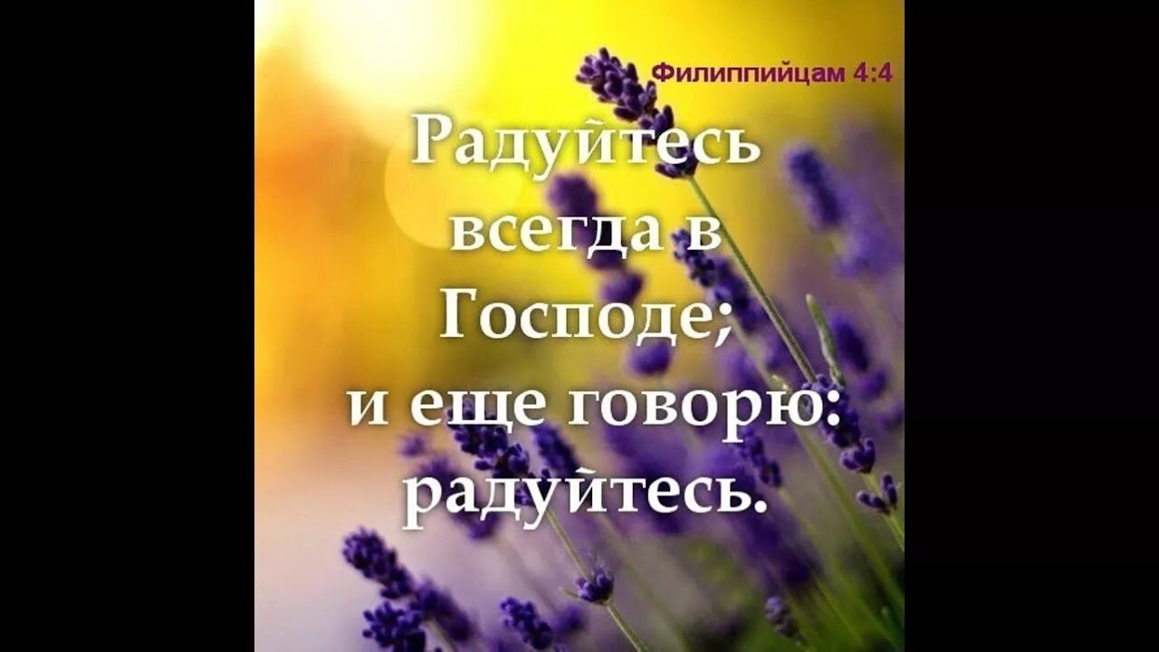 Всегда радуй. Радуйтесь всегда в Господе. Радуйтесь в Господе и еще говорю радуйтесь. Радуйся всегда в Господе. Радуйтесь всегда радуйтесь Библия.