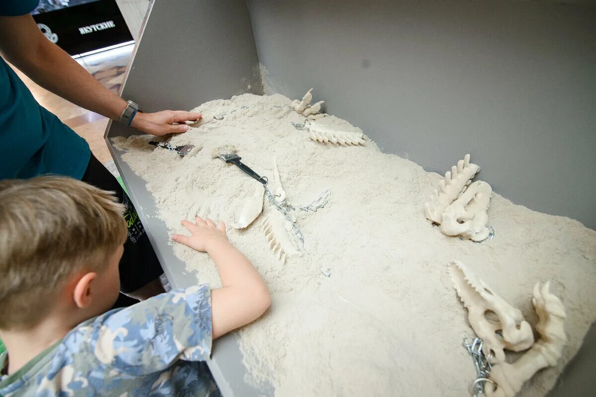 парк динозавров в москве. денверский музей природы и науки. дагомыс музей динозавров. выставка динозавров в музее. дарвиновский музей динозавры.