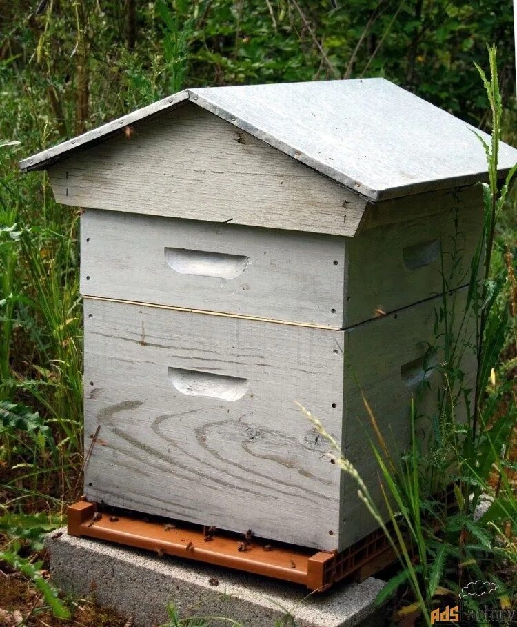 Улья Калинка. Пчелиный улей. Домик для пчел. Улей для пчел. Купить пчелосемьи в 2024 году
