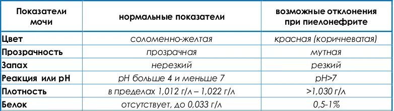 Что показывает моча при цистите у женщин. Белок в моче 0.033 гл. какие показатели в моче при цистите у детей. анализы мочи при цистите у женщин какие показатели. белок в моче показатели нормы у женщин.