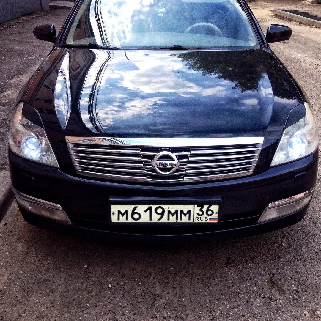 Nissan Teana j31. Nissan Teana j31 2.3. Nissan Teana j31 Рестайлинг. Teana j31 2007. Купить фары ниссан теана