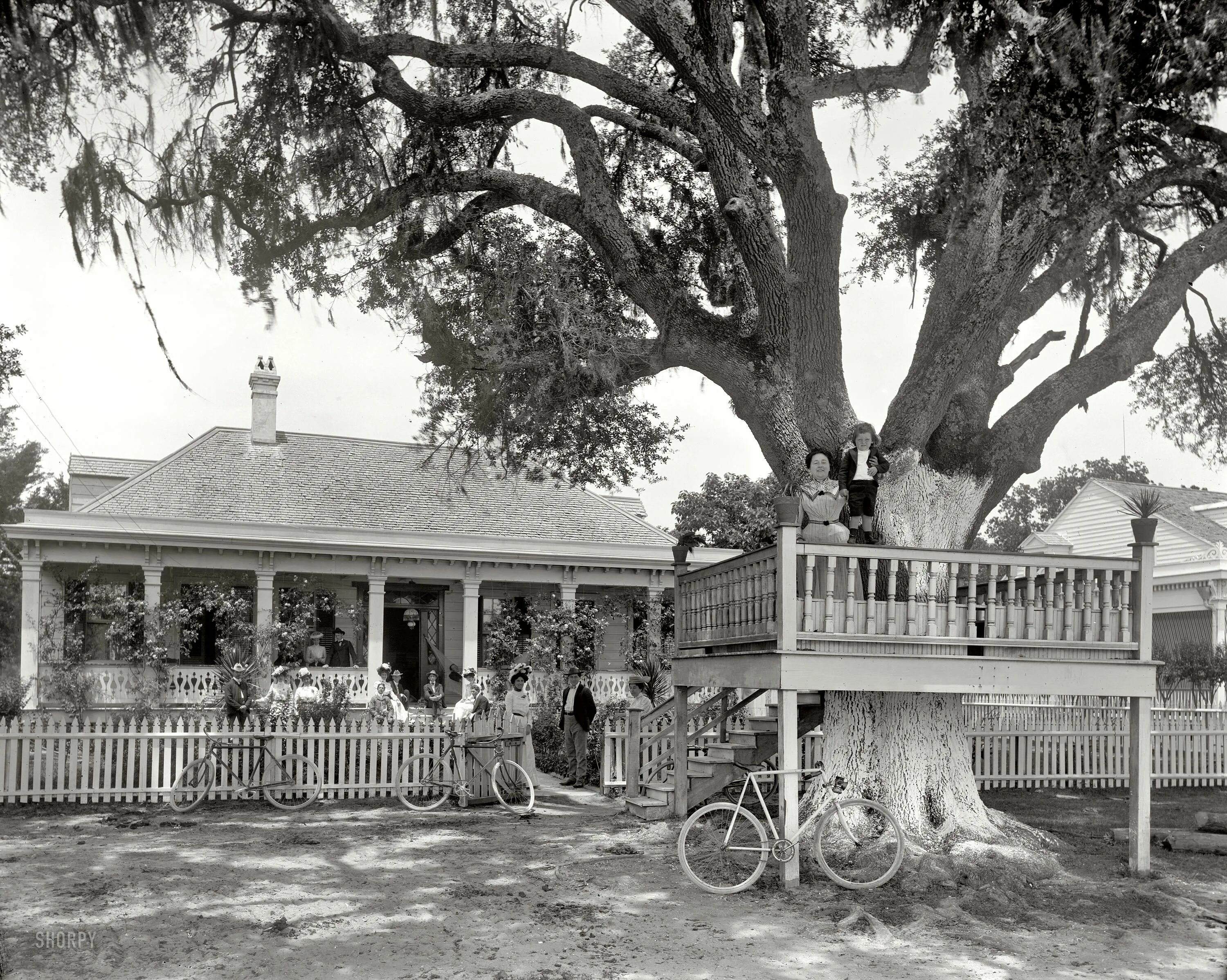 Луизиана особняки 1890. США 1890. Луизиана США 19 век. Луизиана в 18 веке.