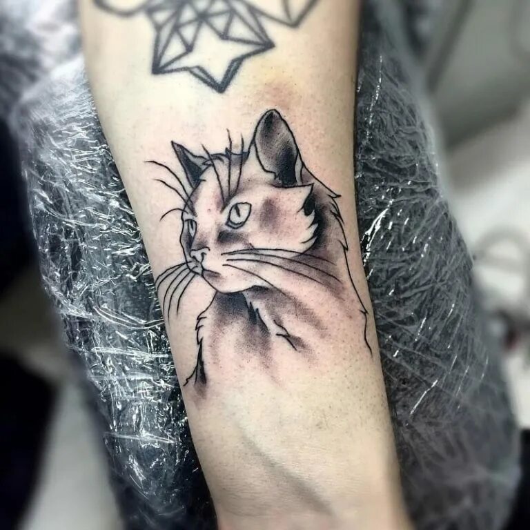 Татуировка кот значение. Тату кошка. тату кошка на руке. тату на руке женские кошки. тату кот на руке у девушки.