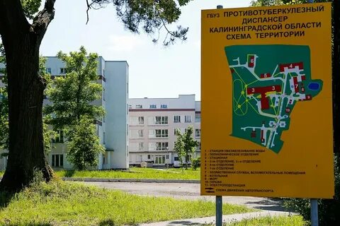 Тенистый туберкулезная