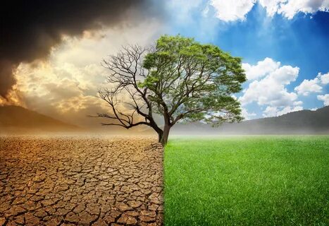 Climate c