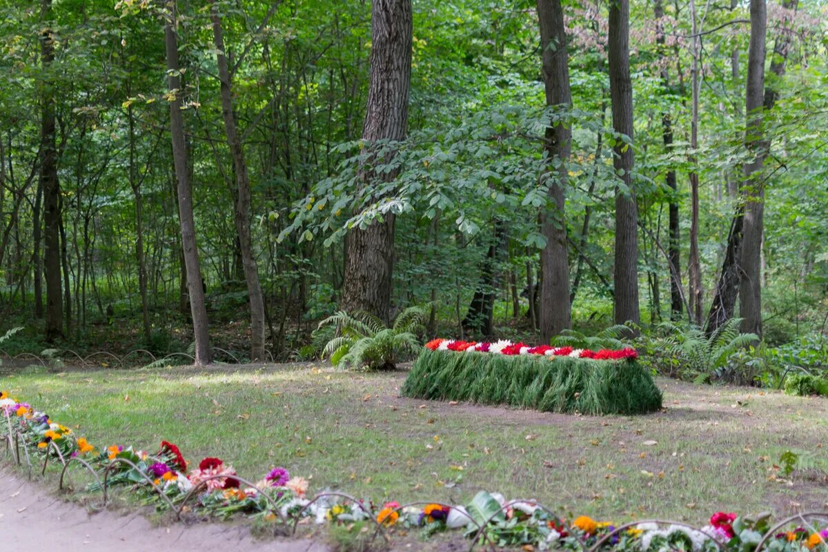 Лев толстой где похоронили. Ясная Поляна могила Толстого. Ясная Поляна могила Льва Толстого. Могила Льва Николаевича Толстого. Ясная Поляна могила л.н.Толстого.