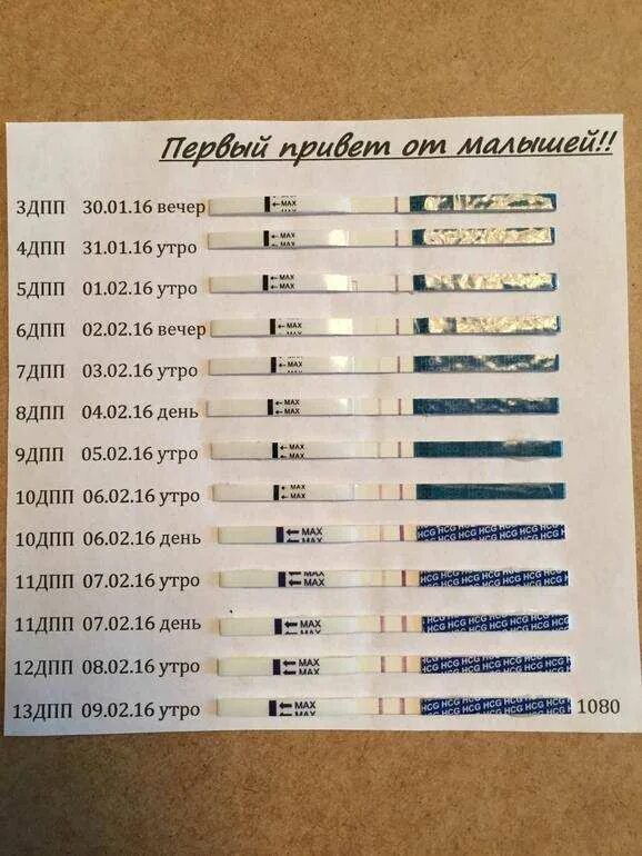 Ощущения по дням после переноса эмбрионов форум. Тест на беременность 5 дней после подсадки. тесты на беременность после подсадки эмбриона 5 дней. тест по дням после переноса эмбрионов 5. тест на беременность после переноса 5 дневного эмбриона.