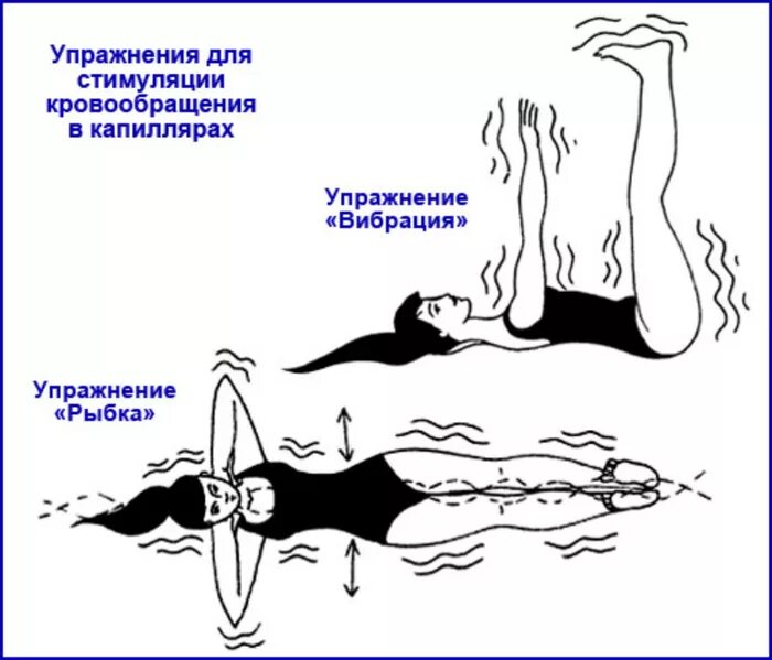 Упражнение для улучшения кровообращения в малом. Упражнения для улучшения кровообращения. Упражнения для улучшения кровотока. Упражнения для улучшения кровообращения в ногах. Упражнения для циркуляции крови.