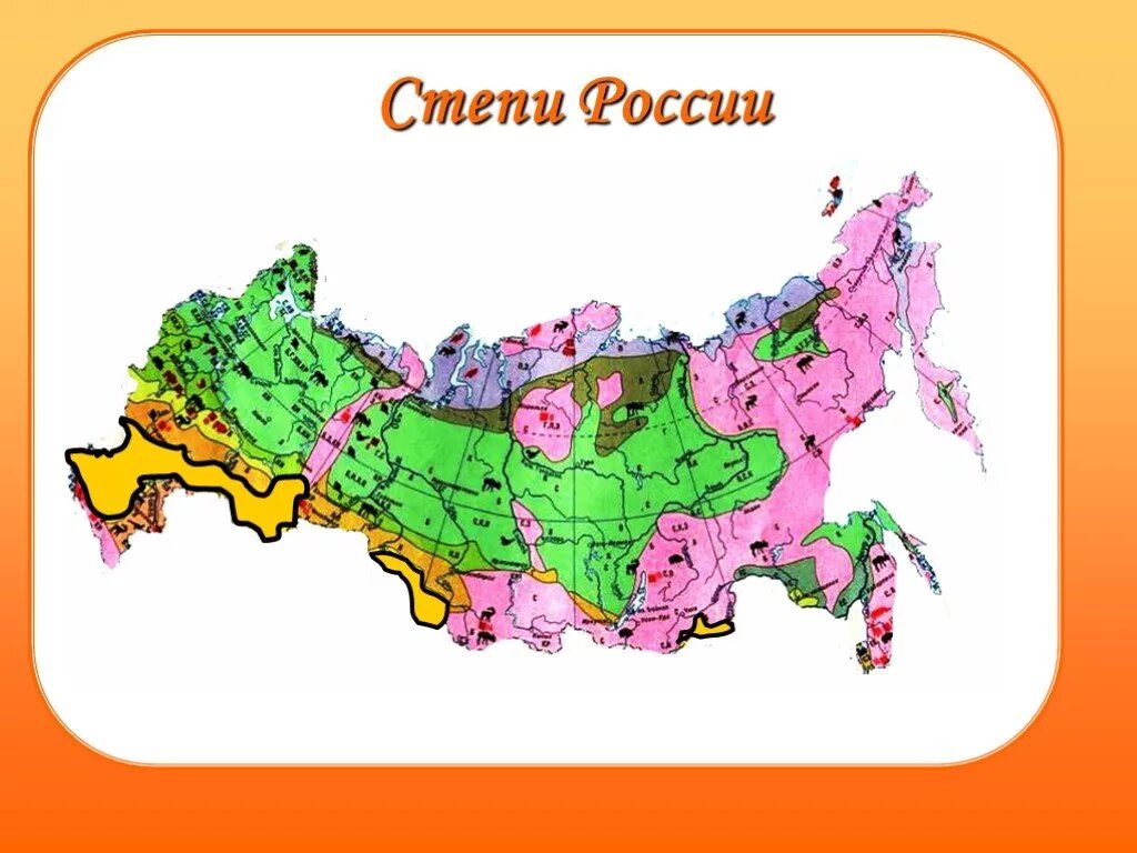 Зона степей на карте России. Географическое положение степи в России на карте. Степь на карте природных зон. Зона степей на карте природных зон России. С какими зонами граничит степь