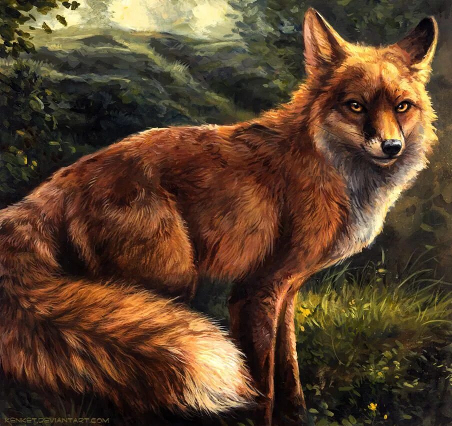 Лисица арт. Kenket fox. furry fox kenket. лиса арт. лисы ари.