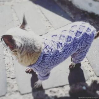 Порода вязка