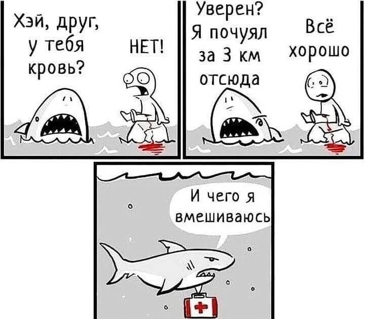 просто хочу помощи. мем но я же. просто хочу помощи. я благодарна каждому человеку. в жизни я слышала многое клятвы.