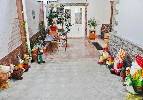 Лилии анапа