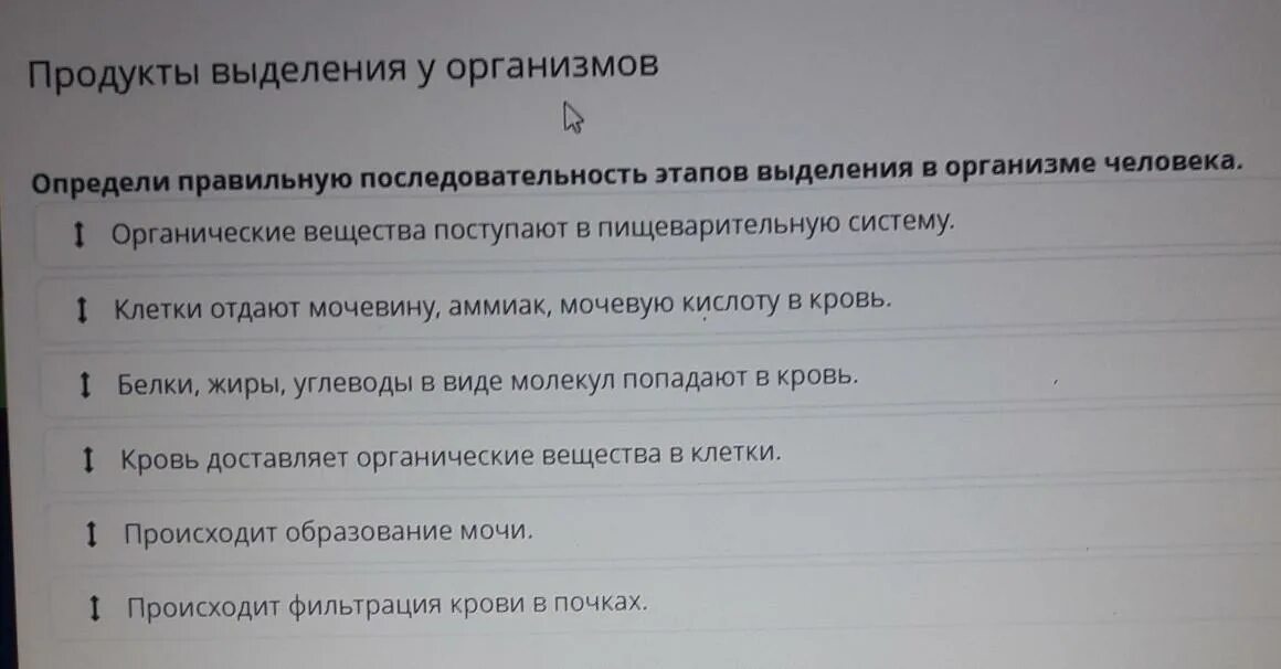 Определи верную последовательность процессов выделения из организма. Продукты выделения организма. продукт выделения аммиак. продукты выделения человека. этапы выделения из организма.