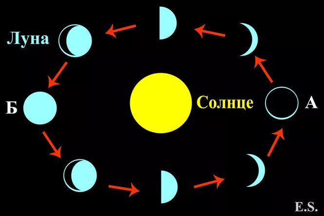 Схема полнолуния. Фазы Луны ориентирование. Расположение Луны и солнца. Ориентирование по солнцу Луне звездам. Ориентирование по Луне картинки.