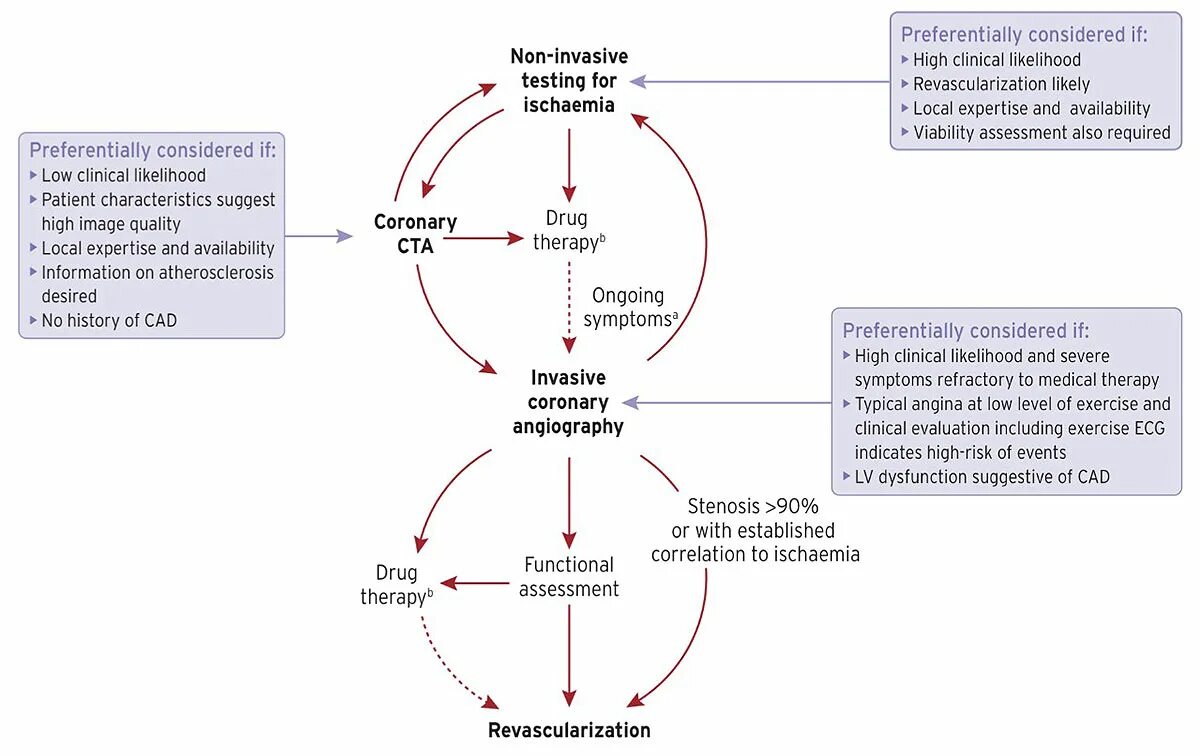 Diagnostic main. Systematic coronary risk evaluation. Coronary artery Symptoms ECG. Functional class of angina. Flexion Test in Patients with Reflex Fainting"ESC Guidelines on Cardiac pacing and Cardiac Resynchronization Therapy 2021".