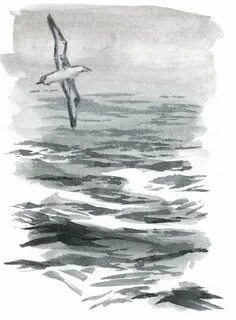Нарисовать белое море