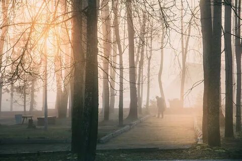 Раннее утро в парке