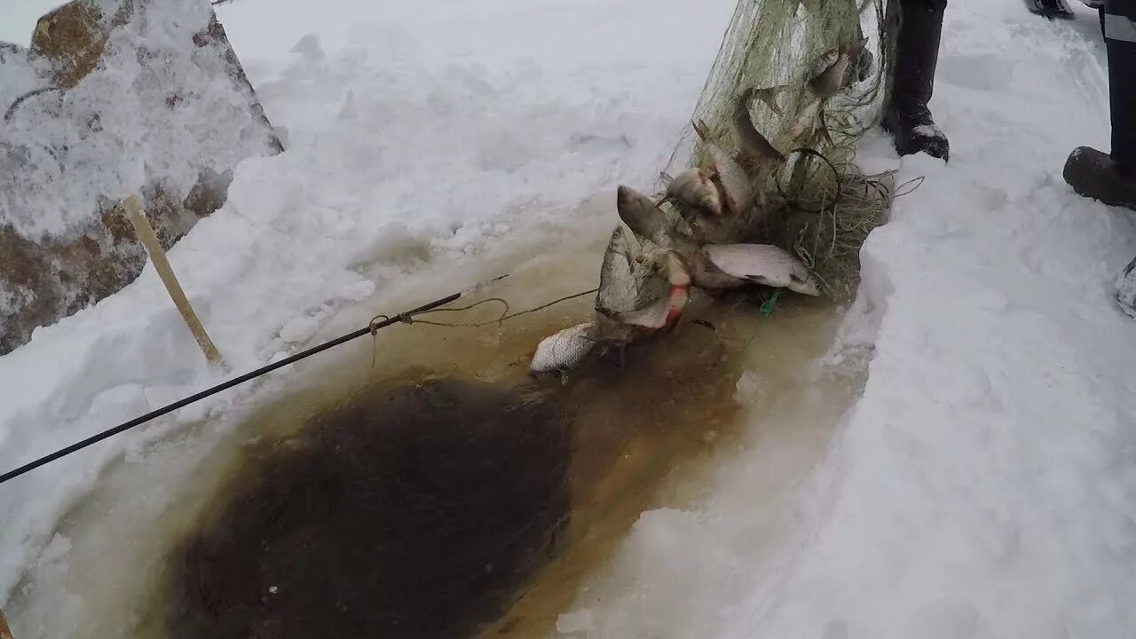 Охота и рыбалка на севере видео. Зимняя рыбалка в Якутии на налима. Рыбалка на крайнем севере. Рыбалка сетями на севере зимой. Рыбалка сетями на крайнем севере.