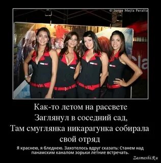 Как летом на рассвете заглянул в соседний