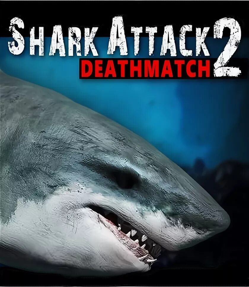 Attack shark r1 software