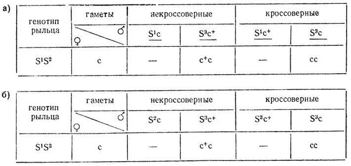 Некроссоверные особи. Не кроссоверные наметы. Кроссоверные и некроссоверные гаметы. Как определить какие гаметы кроссоверные.