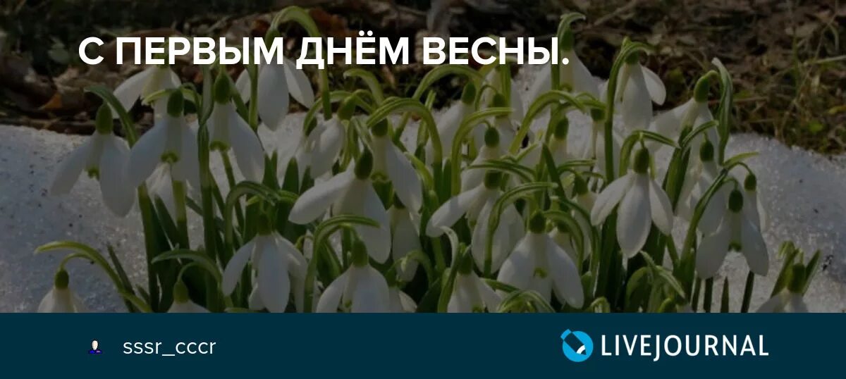 С первым днем весны юмор. Первый день весны юмор фото. Первый день весны фото юмористическое. Приора с первым днем весны. Когда ждать весну в 2024