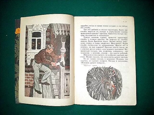 Шергин плотник. Пословицы Бориса Шергина. Рассказы б Шергина. Иллюстрации Бориса Шергина.