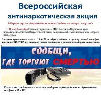 Сообщи где торгуют смертью акция 2024 год