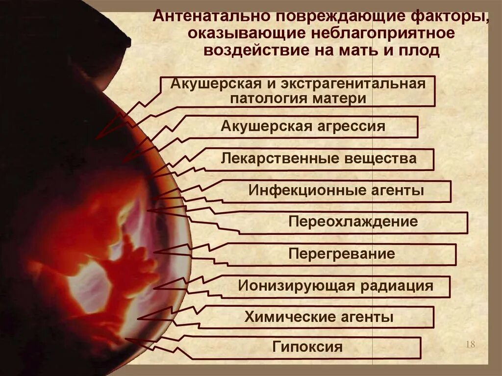 Факторы оказывающие неблагоприятное воздействие на плод. Влияние вредных факторов на плод. Влияние повреждающих факторов на плод. Влияние вредных факторов на внутриутробный плод.