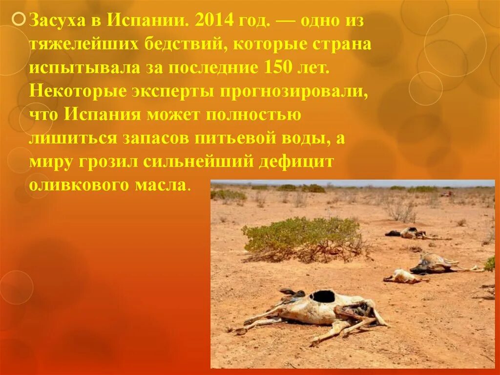 Засуха значение. Засуха презентация. засуха в испании 2014 год. засуха в испании. засуха доклад.