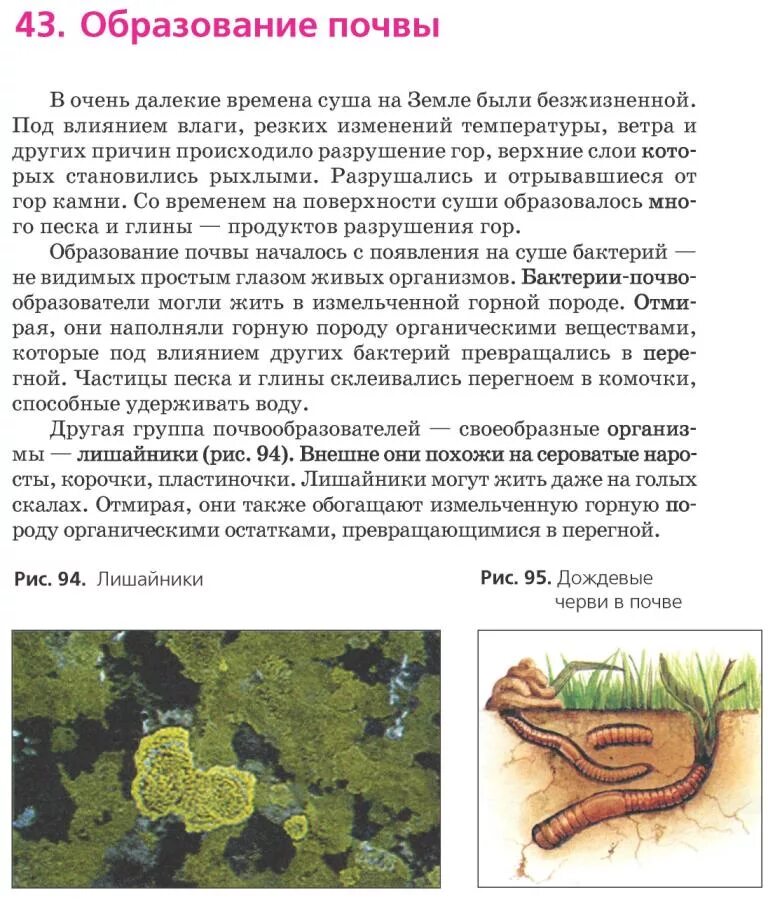 Почва образована