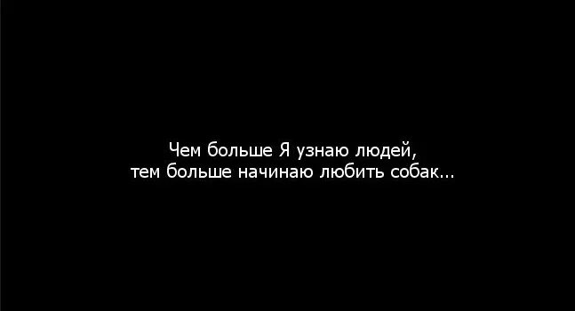 Больше чем нравишься фраза. Чем больше узнаю людей тем больше нравятся собаки. Чем больше я узнаю людей тем больше я люблю собак. Чем больше узнаю людей тем больше нравятся собаки Автор. Чем больше узнаю людей тем больше.