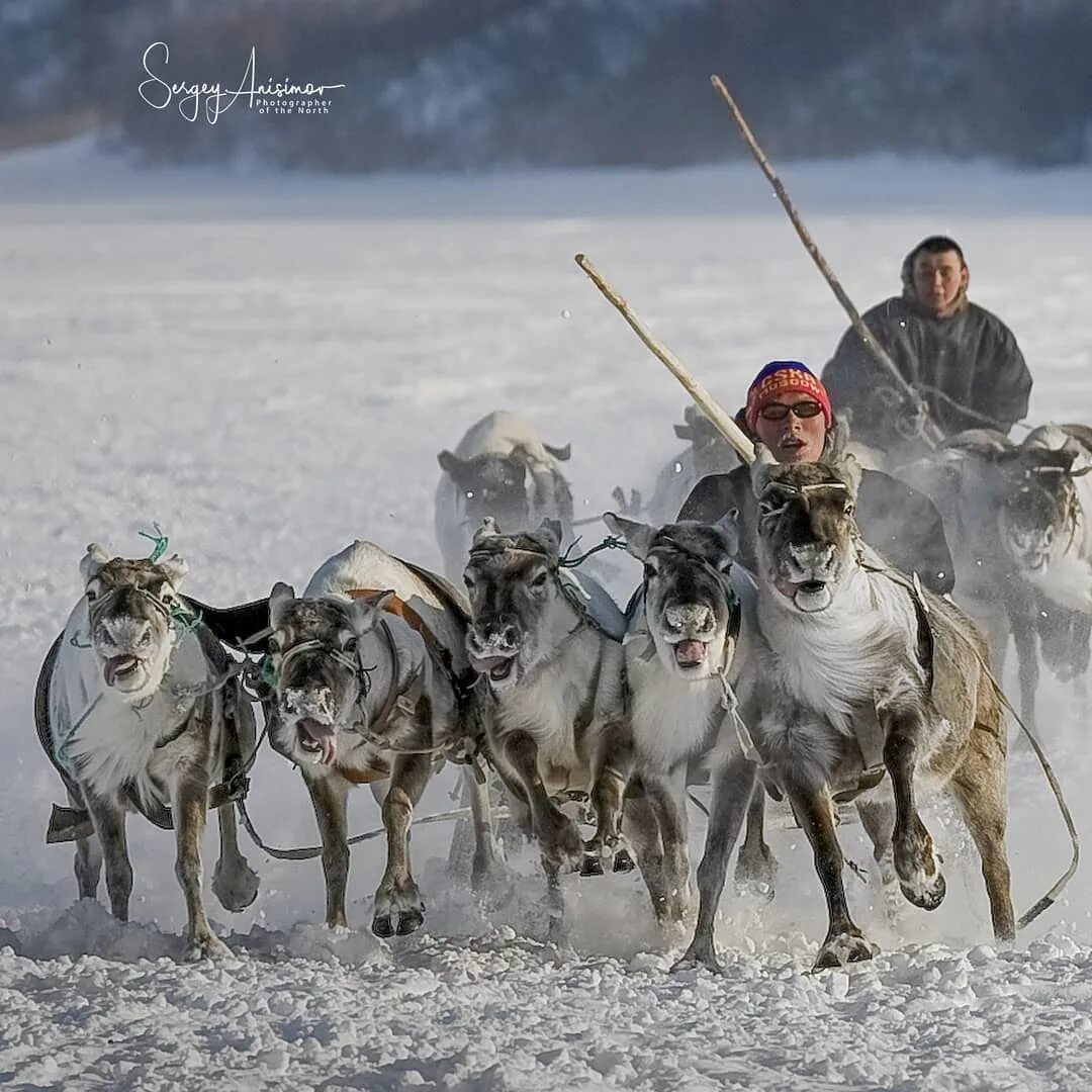 Анисимов фотохудожник Ямал.