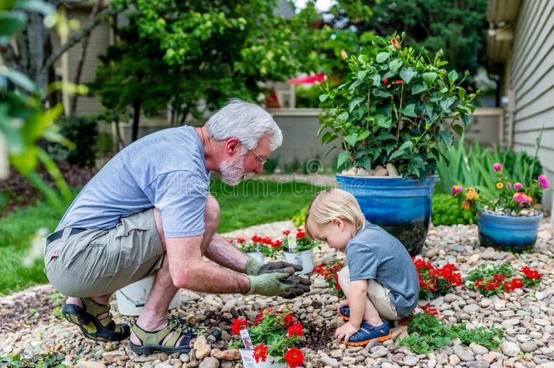 Папа с дедушкой на садовом участке