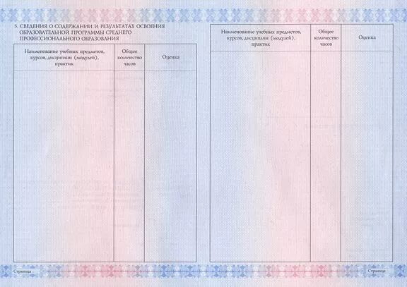 Оценки вкладыш. Вкладыш к диплому о среднем профессиональном образовании. Приложение к диплому о среднем профессиональном образовании. Приложение диплома средне специальное образования.