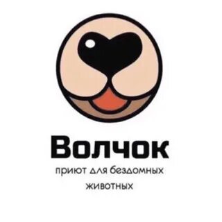 Приют волчок