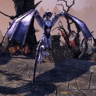 Winged twilight