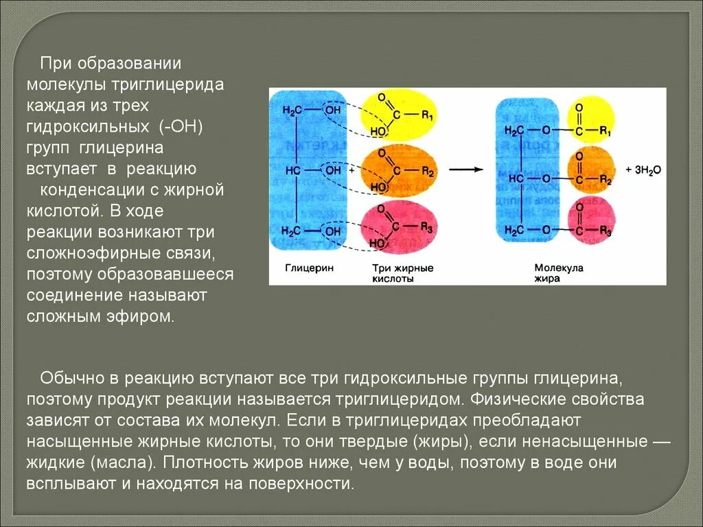 Плотность жира. Плотность жира человека. Молекула жира соединенка связью. Молекула жира состоит.