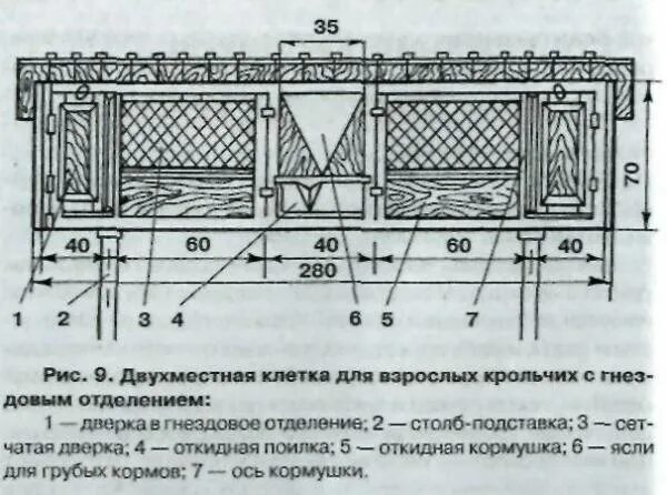 Размеры клетки для кроликов с маточником чертежи. Размеры клетки для кроликов с маточником. Откормочные клетки для кроликов Размеры. Клетка Золотухина для кроликов чертежи с размерами. Фото чертежей клеток для кроликов