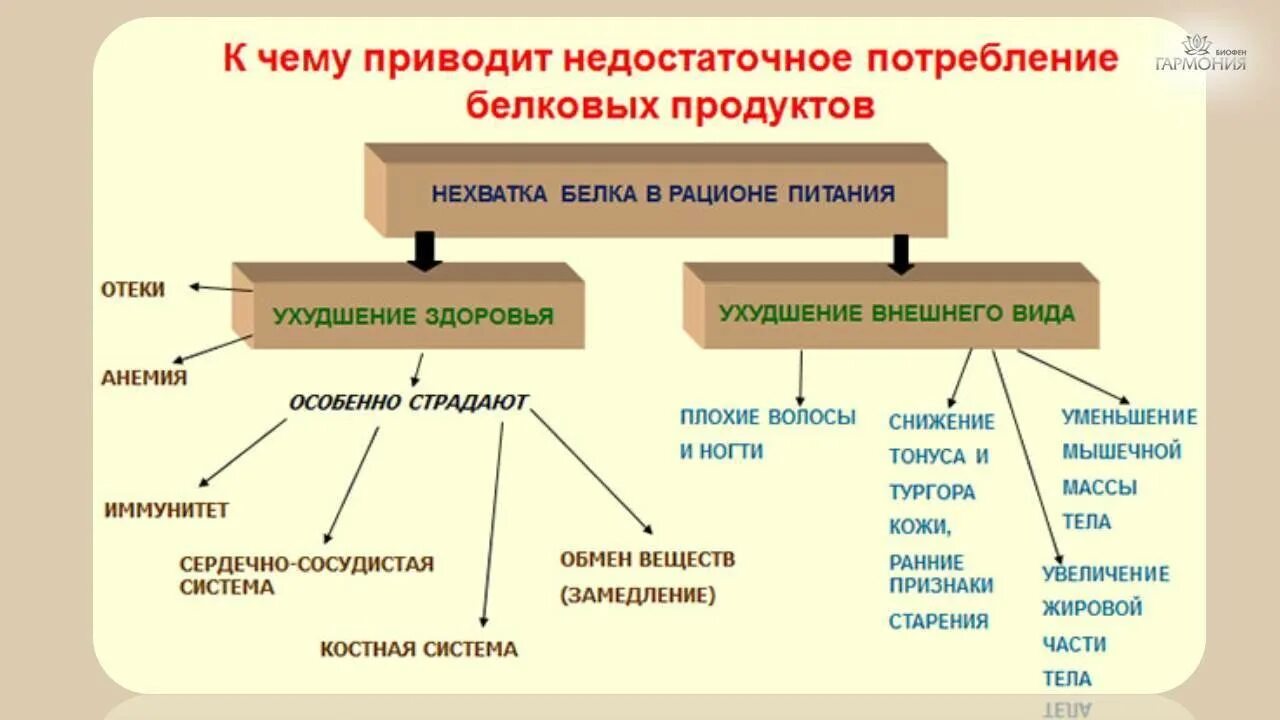 К чему может. Дефицит белка в рационе питания – причина появления. Недостаток белка в организме последствия. Недостаток белков в организме приводит к. Дефицит белка симптомы.