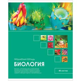 Тетрадка по биологии