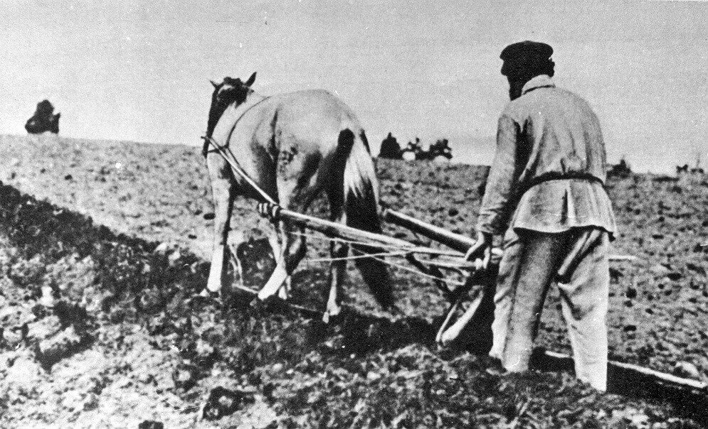 Два землепашца. Хозяйство крестьян 19 века. Пахота крестьянство в начале 20 века в России. Крестьяне пашут 19 век Пензенской губернии. Сельское хозяйство России 19 век.