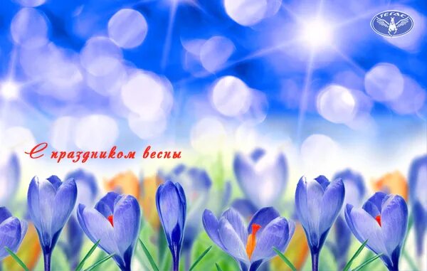 С праздником весны милые женщины. С праздником весны и красоты картинки. Поздравление с праздником весны. С праздником дам. Поздравление с праздником весны.