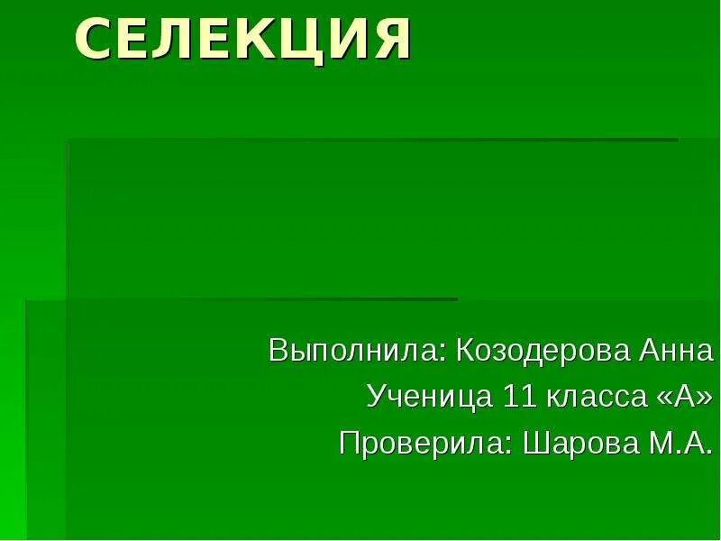 Селекция презентация 10 класс. Селекция презентация. Селекция животных вывод. Селекция презентация 11 класс. Основы селекции презентация.