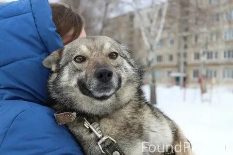 Дом волчок